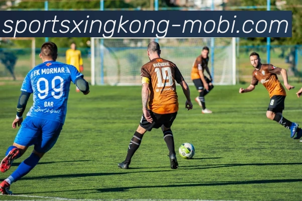 数据防护可视化