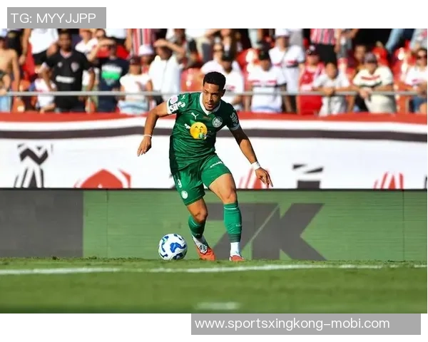 巴甲联赛历史夺冠次数统计帕尔梅拉斯领先弗拉门戈紧随其后 巴甲联赛历史夺冠次数统计帕尔梅拉斯领先弗拉门戈紧随其后